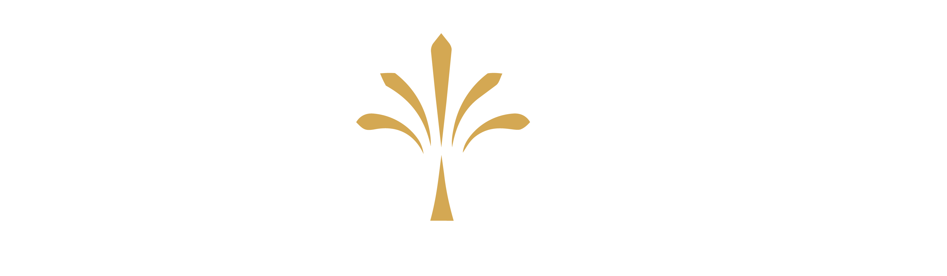 Beach Homes EC
